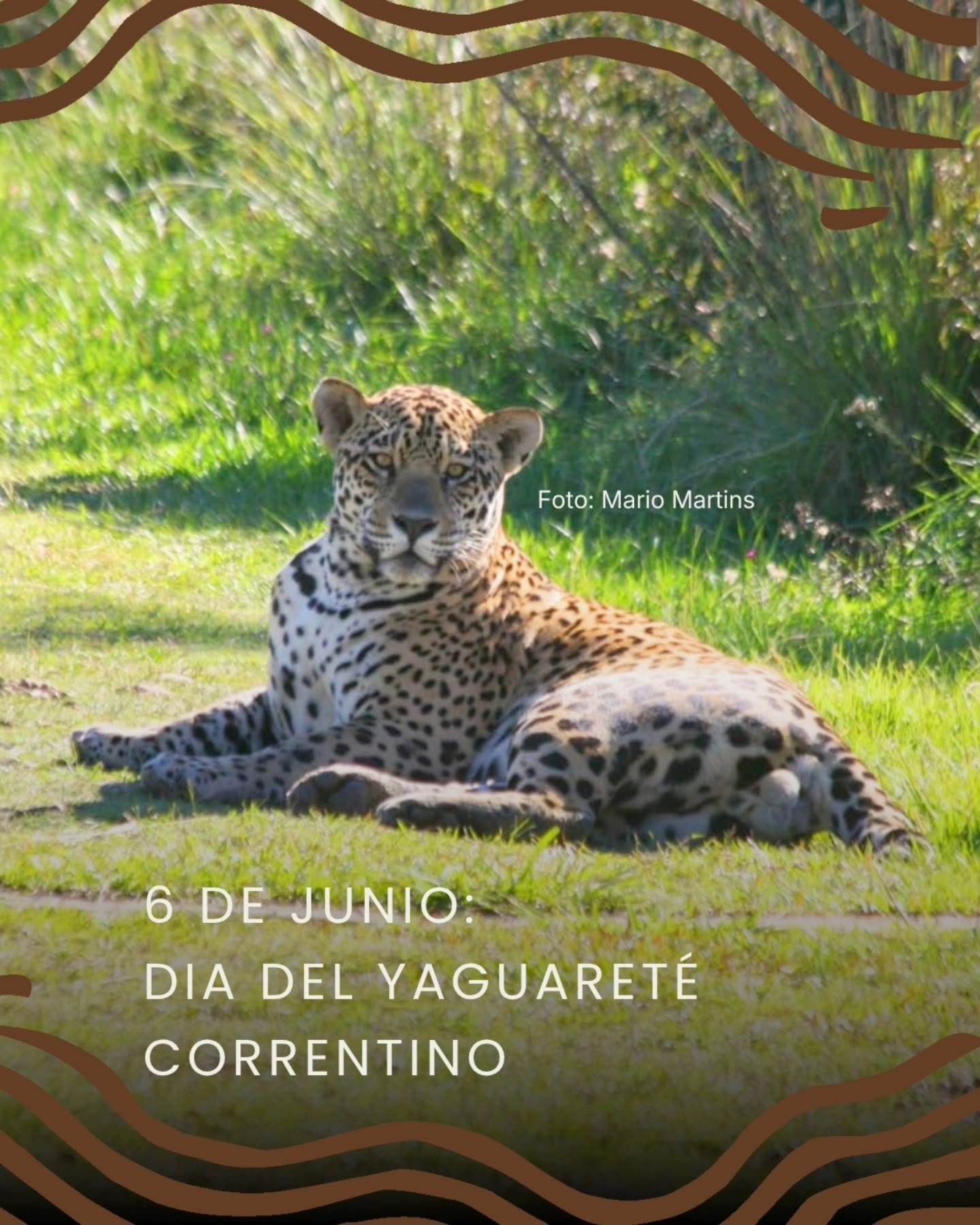 Fiestas Patronales en Carlos Pellegrini