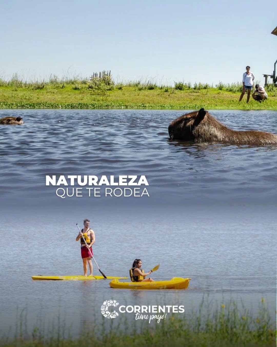 Guía local en el Iberá
