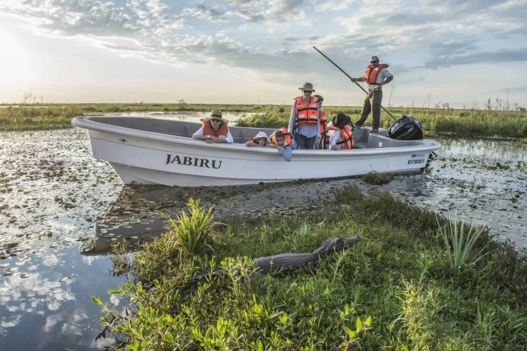 Avistaje de aves en el Iberá