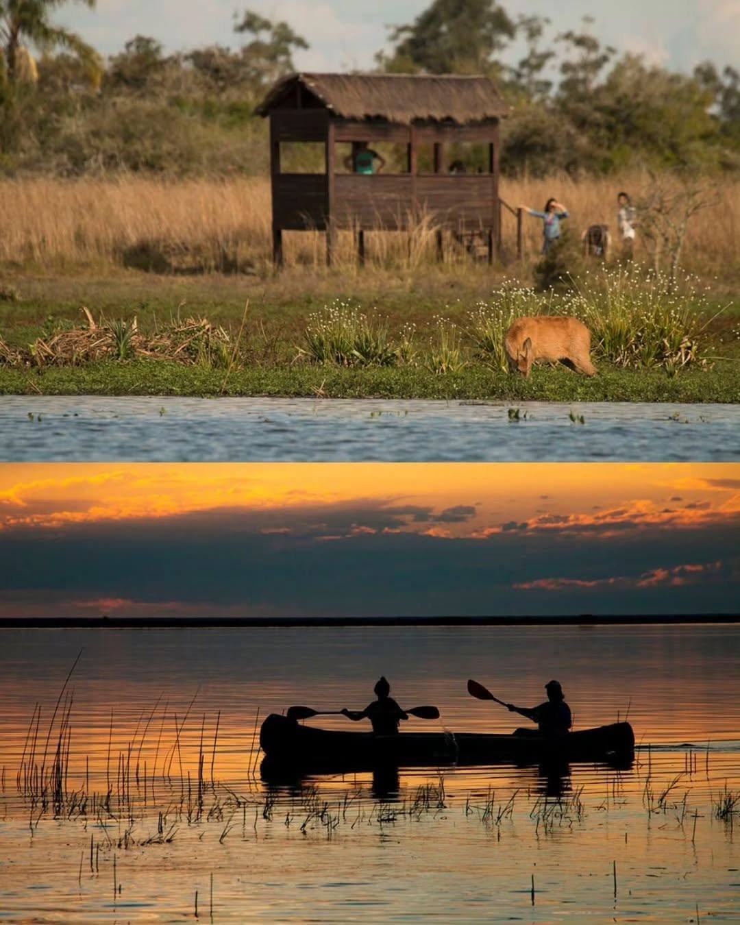 Kayak en la Laguna Iberá